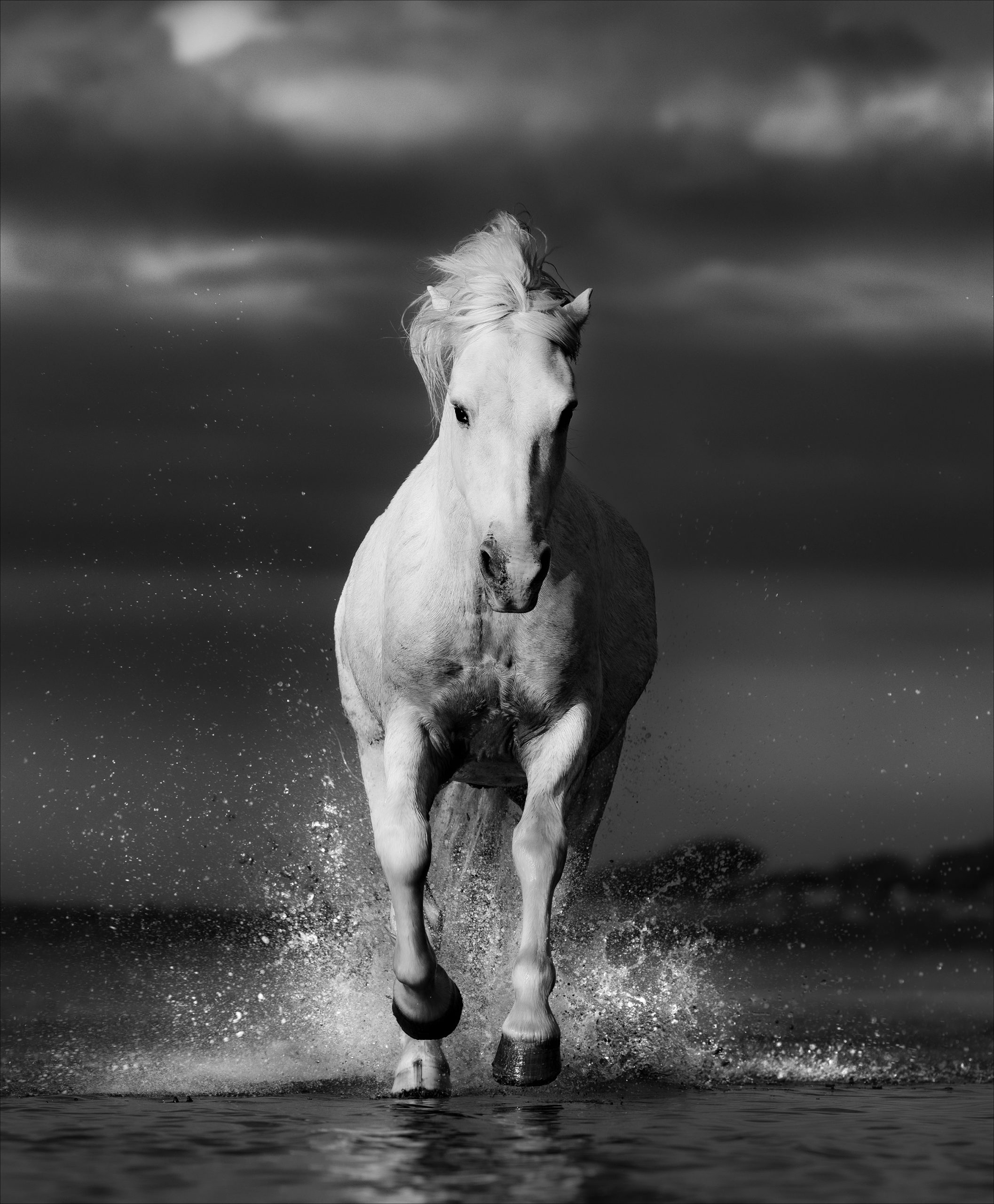 Cheval Blanc